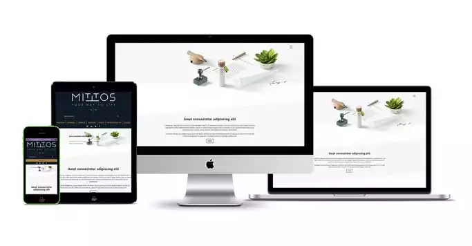 TT Kobi Hazır Web Sitesi Temel Fonksiyonlar